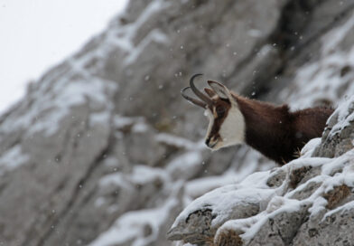 Jar v Tatrách patrí prírode, skialpinistická sezóna sa končí