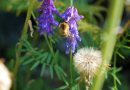 Botanická záhrada vstupuje do novej sezóny