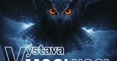 Vernisáž výstavy V moci noci