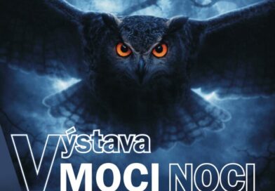 Vernisáž výstavy V moci noci